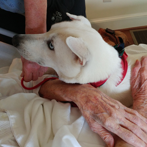 Catawba Valley Obedience Club, Hickory NC